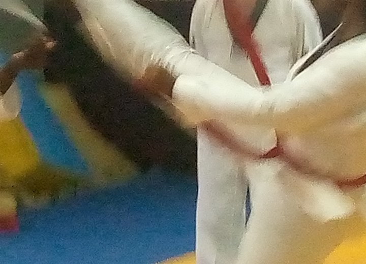 16 taekwondoïstes montent en grade à Port-Gentil au terme d'une âpre cérémonie