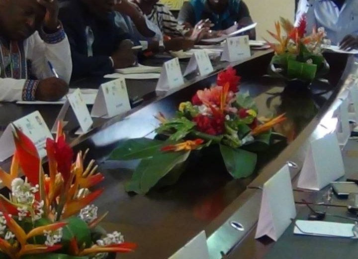 Les dates de renouvellement des comités directeurs du handball gabonais enfin connues