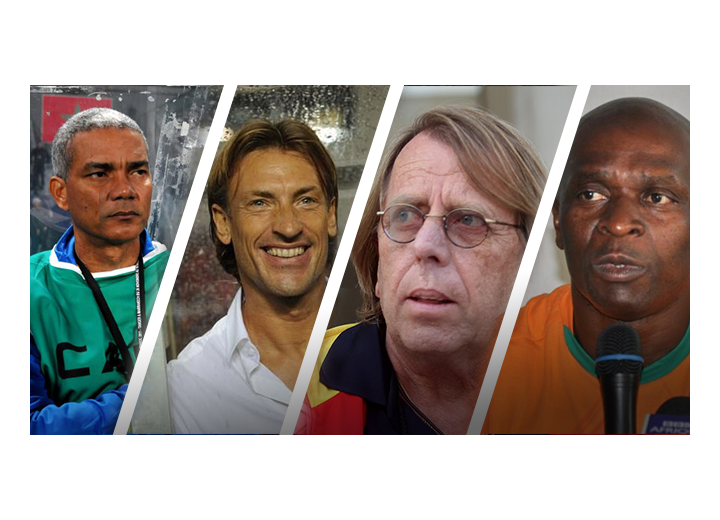 Panthères : 15 candidats pour le poste de sélectionneur !